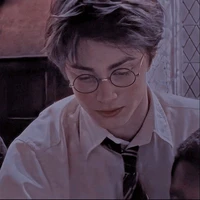 Harry Potter_Harry