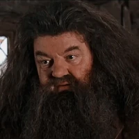 Rubeus Hagrid