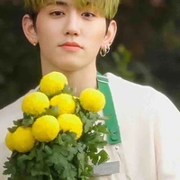 Mashiho