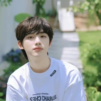 Đinh Trình Hâm