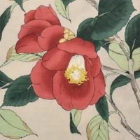 Nhân vật bí ẩn