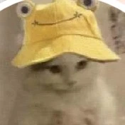 Em là con mèo😼