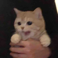 T/g