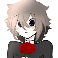 Tg cutii