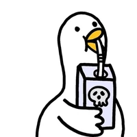 tác giả mới tập bay