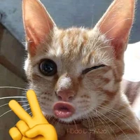 tác giả ngu văn thích viết truyện :))