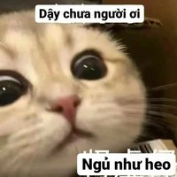 những kẻ ở đó