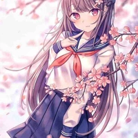Hikare Nonomo