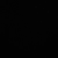 Những người có mặt ở đó 