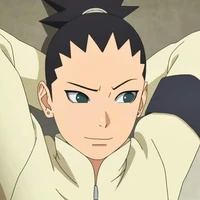 nara shikadai