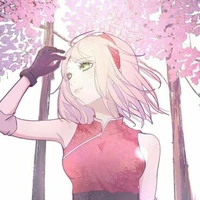 Haruno Sakura