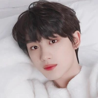 Đinh Trình Hâm