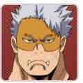Vlag King