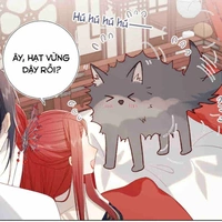 Wuỷ