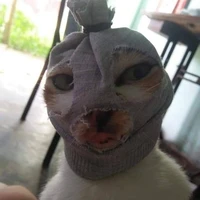 Donna (Tác Giả)
