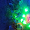 ký ức