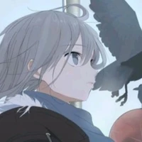 Aisha y/n