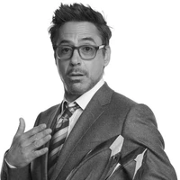 Robert Downey Fake