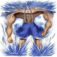 Cơ bắp sensei
