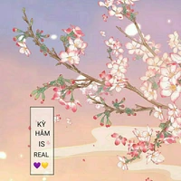 Nhân vật đa dạng