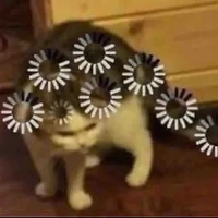 Tác giả hoang mang