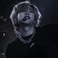 Kim NamJoon ( RM )