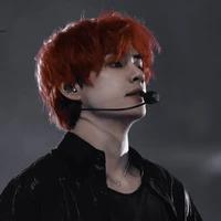 Kim Taehyung ( V )