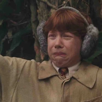 Ronald Weasly