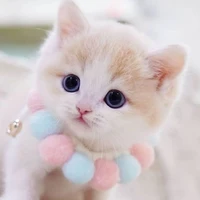 Sarinna (tác giả)