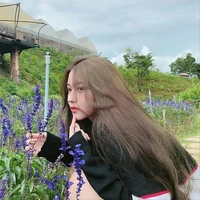 Bảo Mai