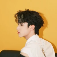 Nghiêm Hạo Tường