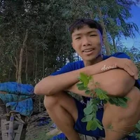 Phạm Đình Hòa