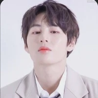 Ha Sung Woon