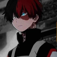 Todoroki Shodow - Alex  Aslan