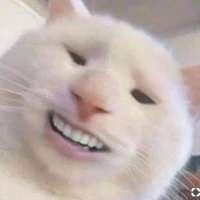 T/g lạnh lùn😇