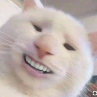 T/g lạnh lùn😇