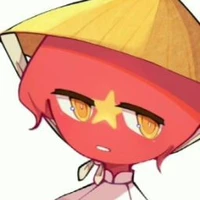 CHXHCNVN [Việt Nam]