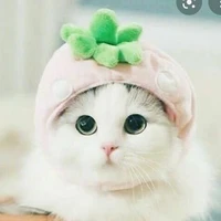 Đa nhân vật