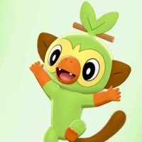 Grookey