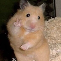 Mận simp chúa Doflamingo<33