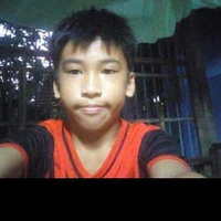 vũ thanh