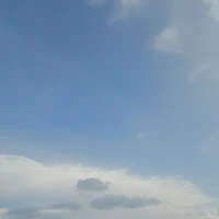 Tác giả