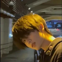 Tô Song Tử ♊