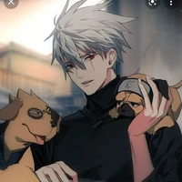 Hatake Kakashi