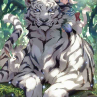 Komato | Hổ