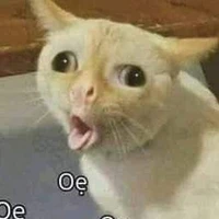 T/G