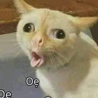 T/G