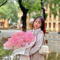 Thùy Anh ( ny Hoàng Anh em trai Giang )