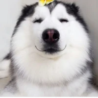 Maru