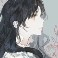 Y/N Okkotsu